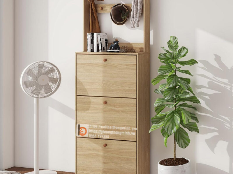 tu giay co moc treo do 6 6